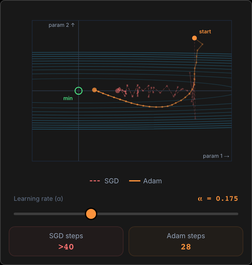 Loss contours of a long, narrow valley with the minimum at a green circle. A dashed red SGD path zig-zags across the valley and stops short of the minimum. As Adam's learning rate slider moves from 0.05 to 0.30, the orange Adam path goes from stopping short, to curving into the target region in 28 steps, to swinging past the minimum to the far side.